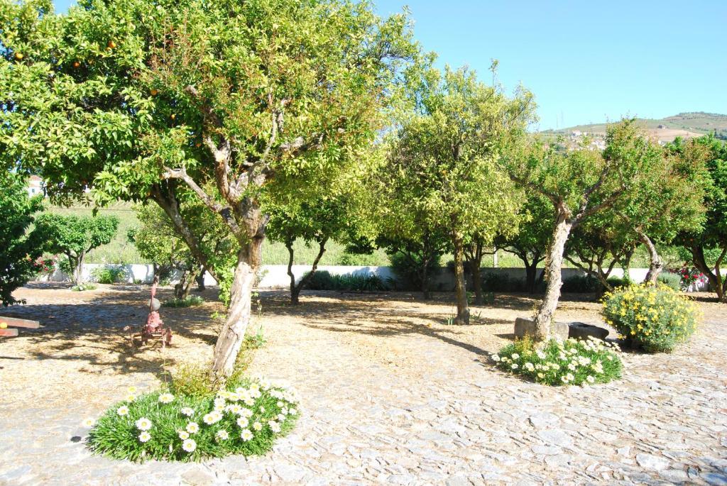 Quinta De Tourais Hotel Ламего Екстериор снимка